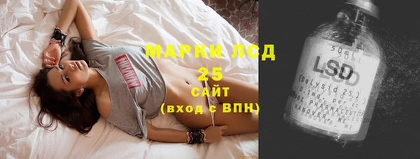 индика Абдулино
