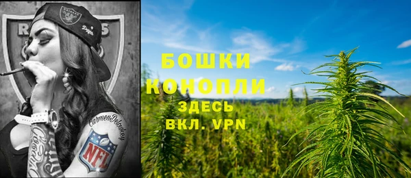 ПСИЛОЦИБИНОВЫЕ ГРИБЫ Новокубанск