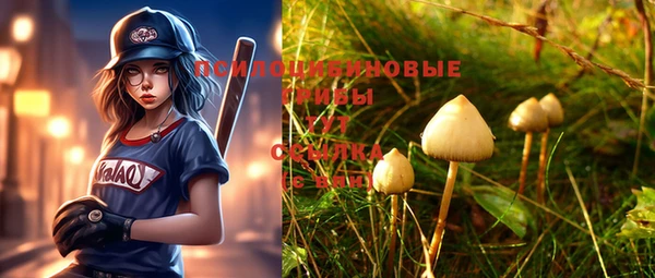 индика Абдулино