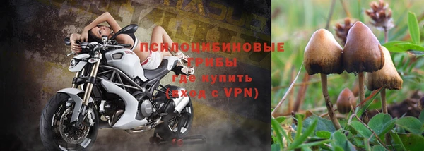 индика Абдулино