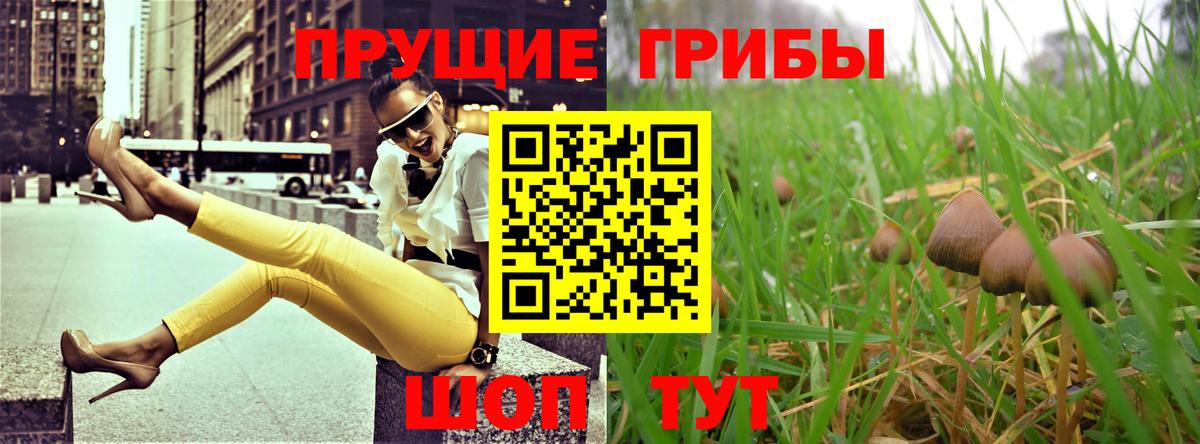 Шарыпово  Псилоцибиновые грибы прущие грибы  Галлюциногенные грибы Psilocybine cubensis  купить закладку  Вход с VPN 